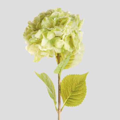 Faux green hydrangea stems (set of 4) - stylish home accent (Image3).