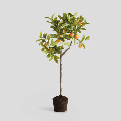 Faux kumquat tree - stylish home accent (Image1).
