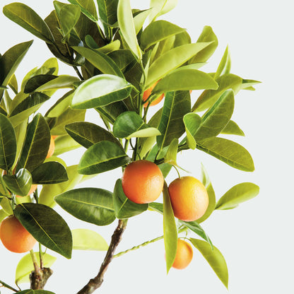 Faux kumquat tree - stylish home accent (Image2).