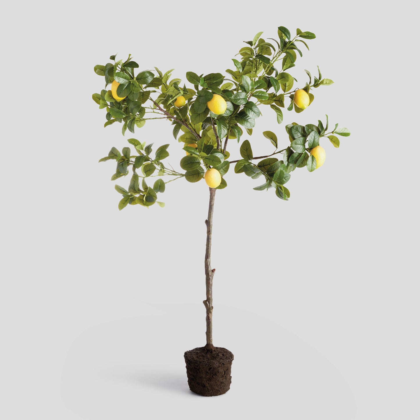 Faux lemon tree - stylish home accent (Image1).