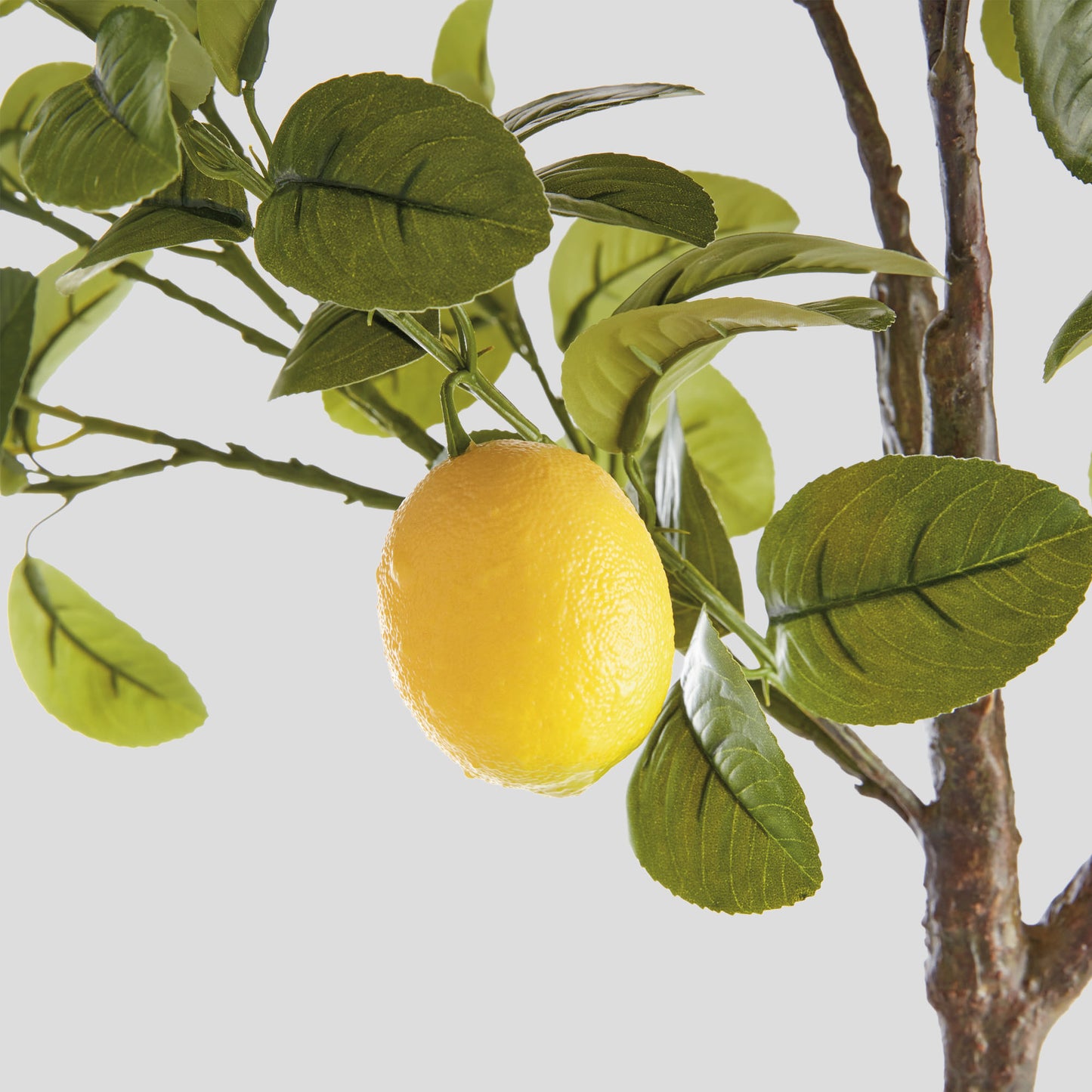Faux lemon tree - stylish home accent (Image3).
