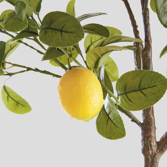 Faux lemon tree - stylish home accent (Image3).
