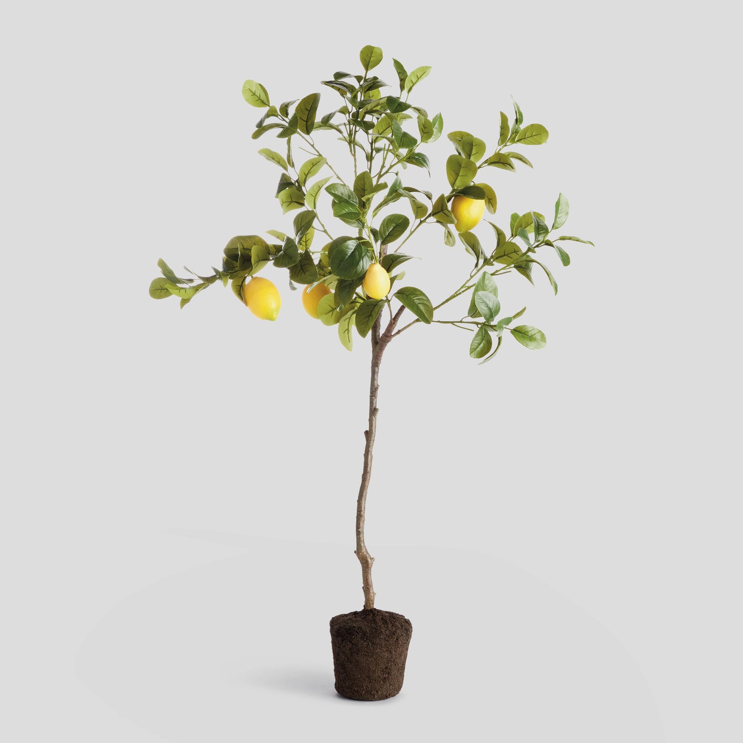 Faux lemon tree drop-in - stylish home accent (Image1).