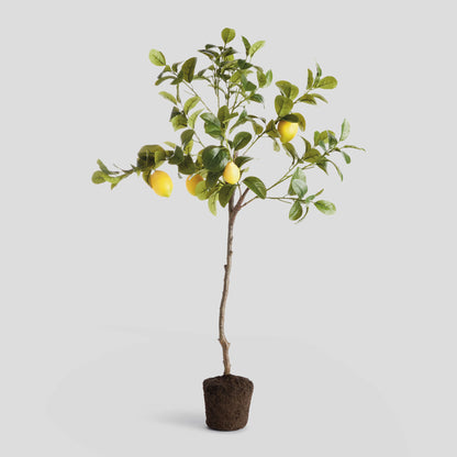 Faux lemon tree drop-in - stylish home accent (Image1).