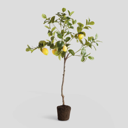 Faux lemon tree drop-in - stylish home accent (Image1).
