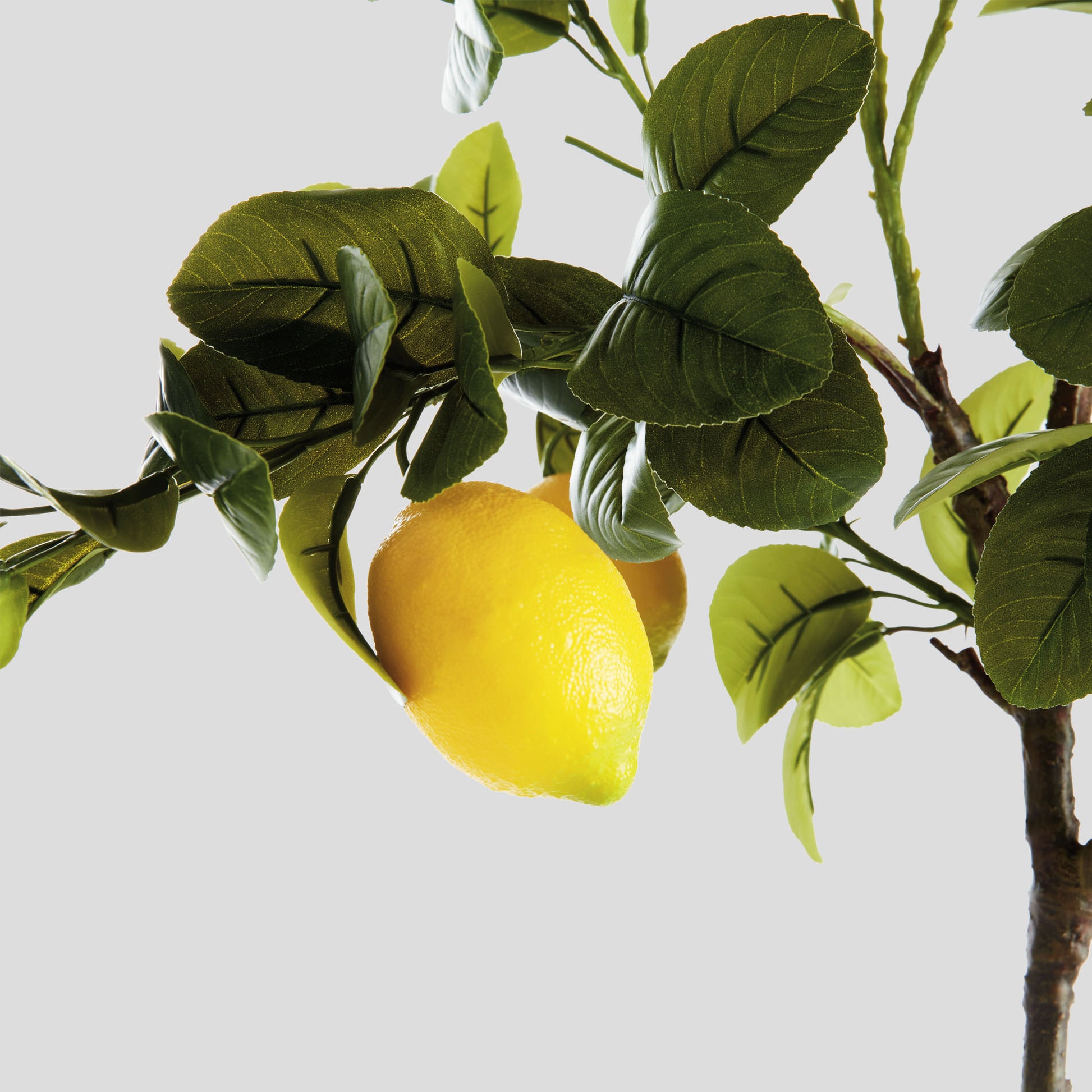 Faux lemon tree drop-in - stylish home accent (Image2).