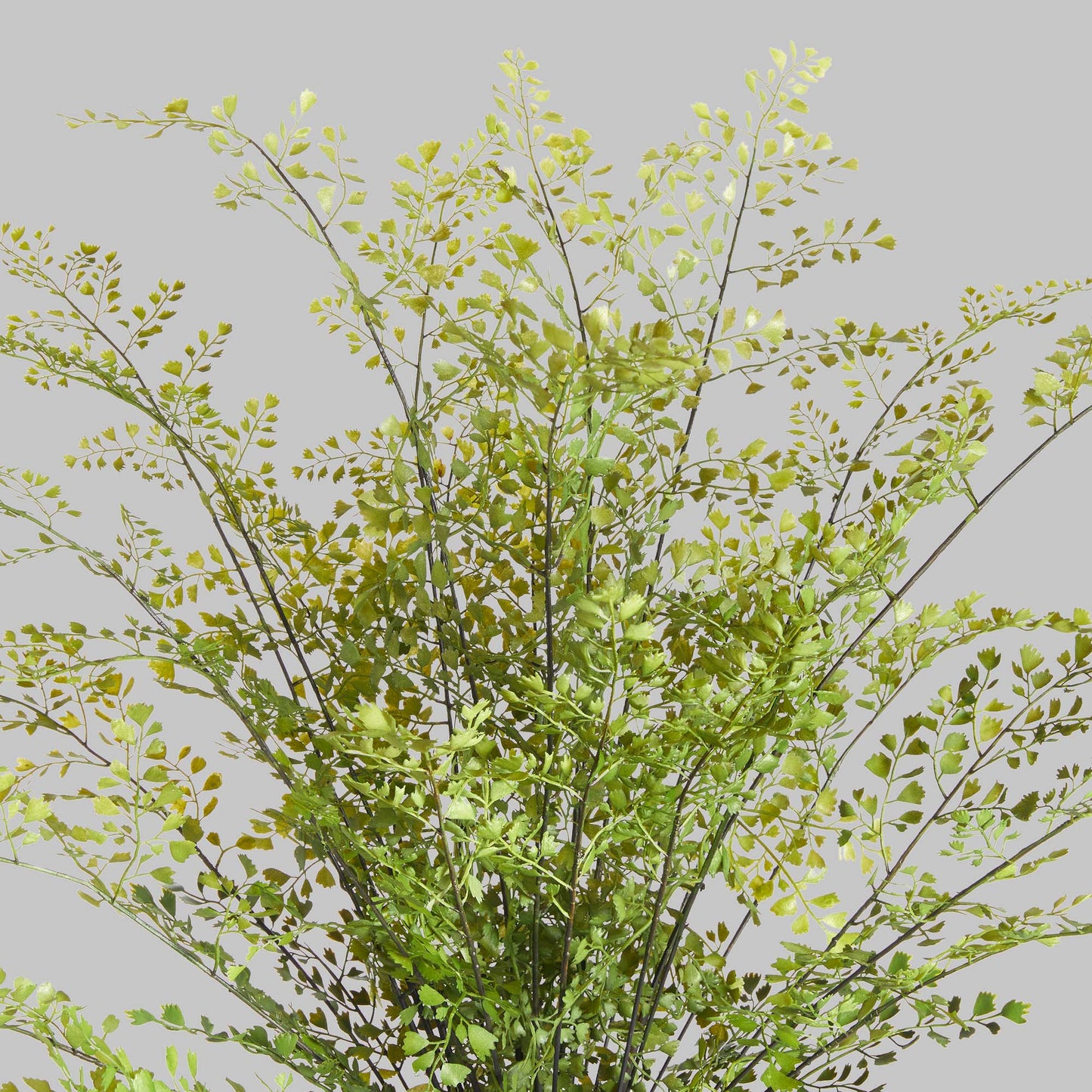 Faux maidenhair drop-in 30 inch - stylish home accent (Image2).
