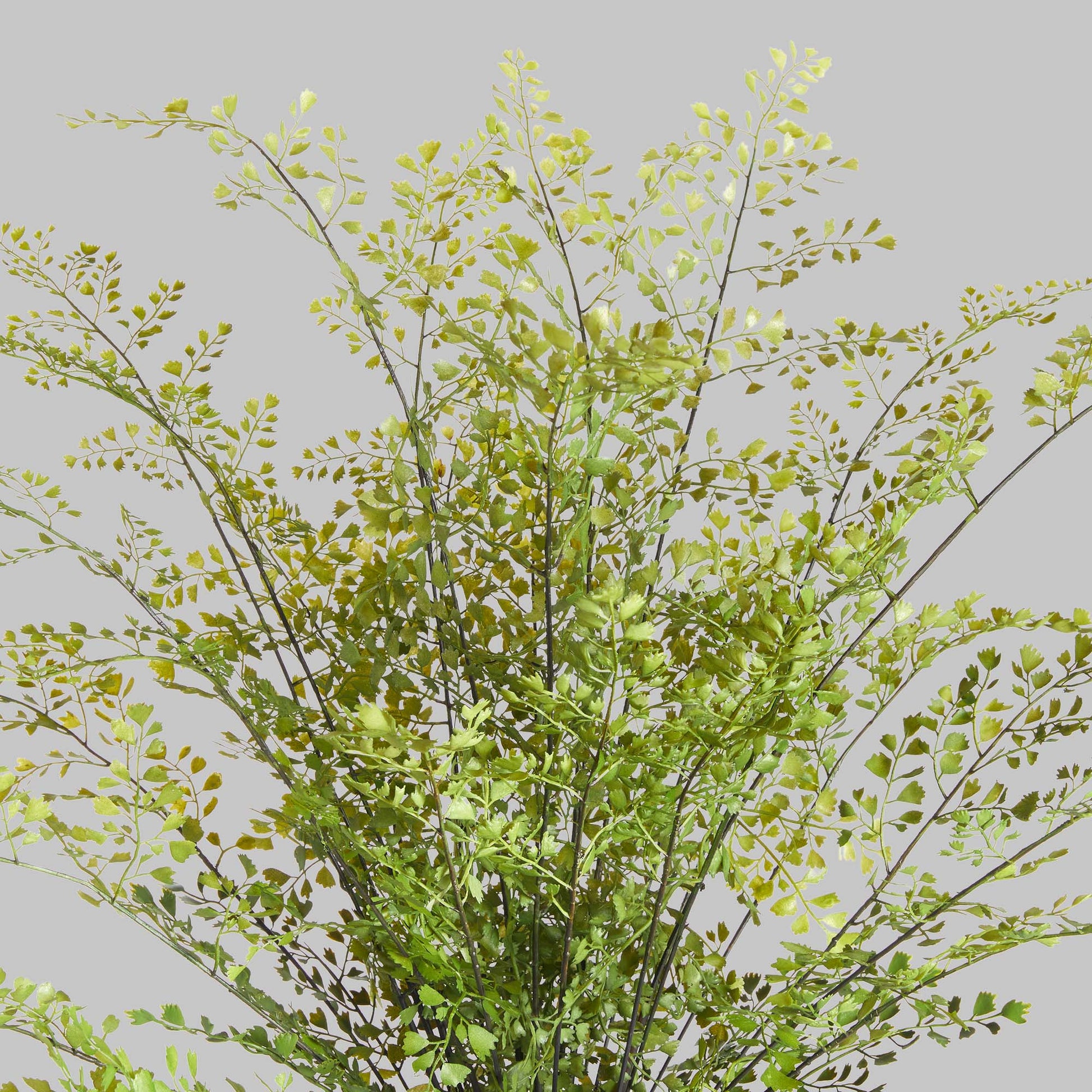 Faux maidenhair drop-in 30 inch - stylish home accent (Image2).