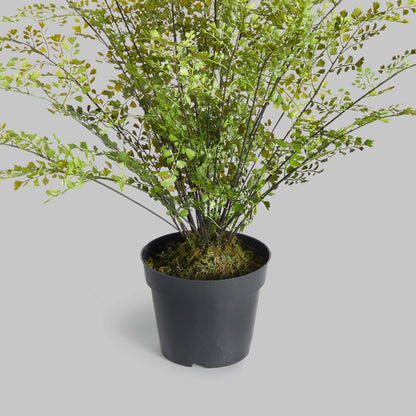 Faux maidenhair drop-in 30 inch - stylish home accent (Image3).