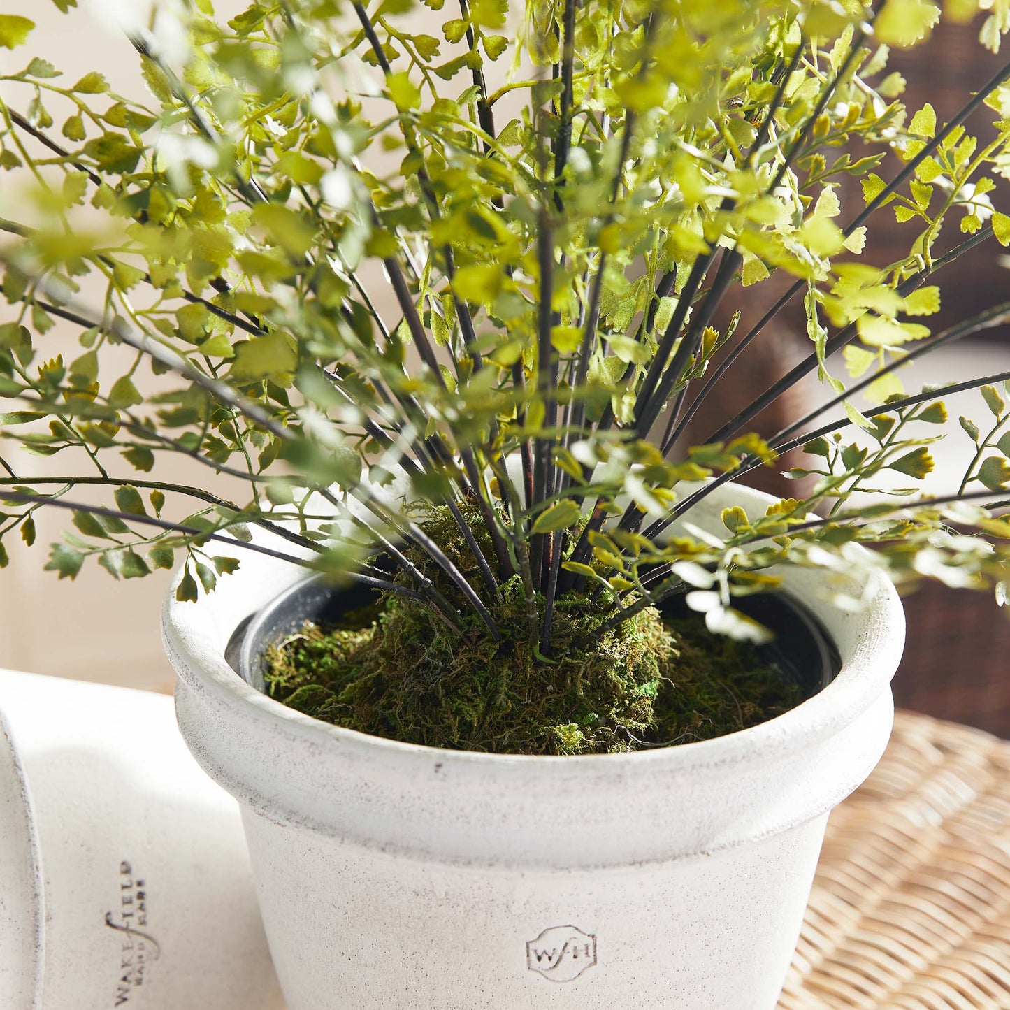 Faux maidenhair drop-in 30 inch - stylish home accent (Image6).