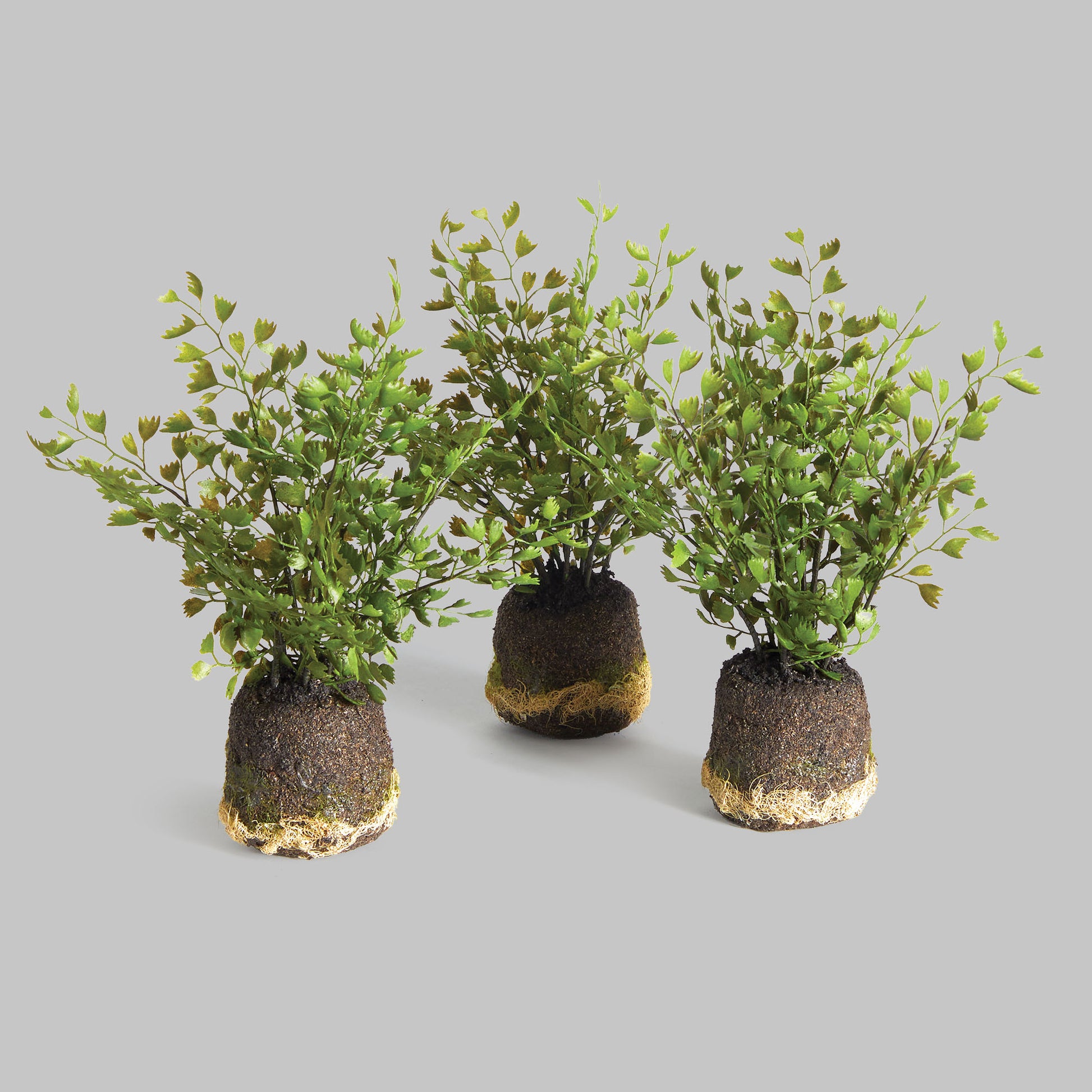 Faux maidenhair drop-ins (set of 3) - stylish home accent (Image1).