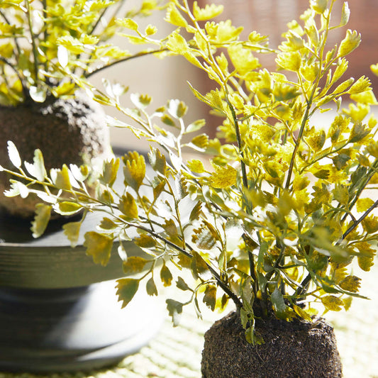 Faux maidenhair drop-ins (set of 3) - stylish home accent (Image2).