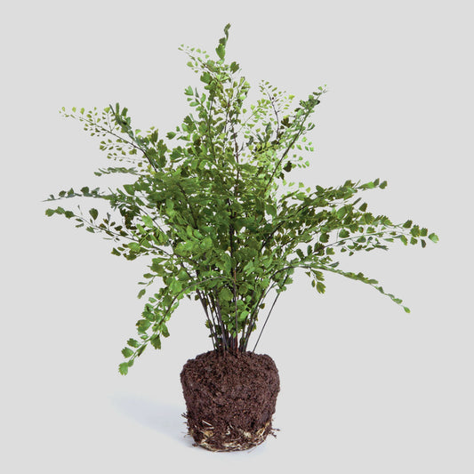 Faux maidenhair fern drop-in 18 inch - stylish home accent (Image1).