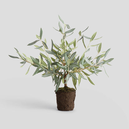 Faux olive tree drop-in - stylish home accent (Image1).