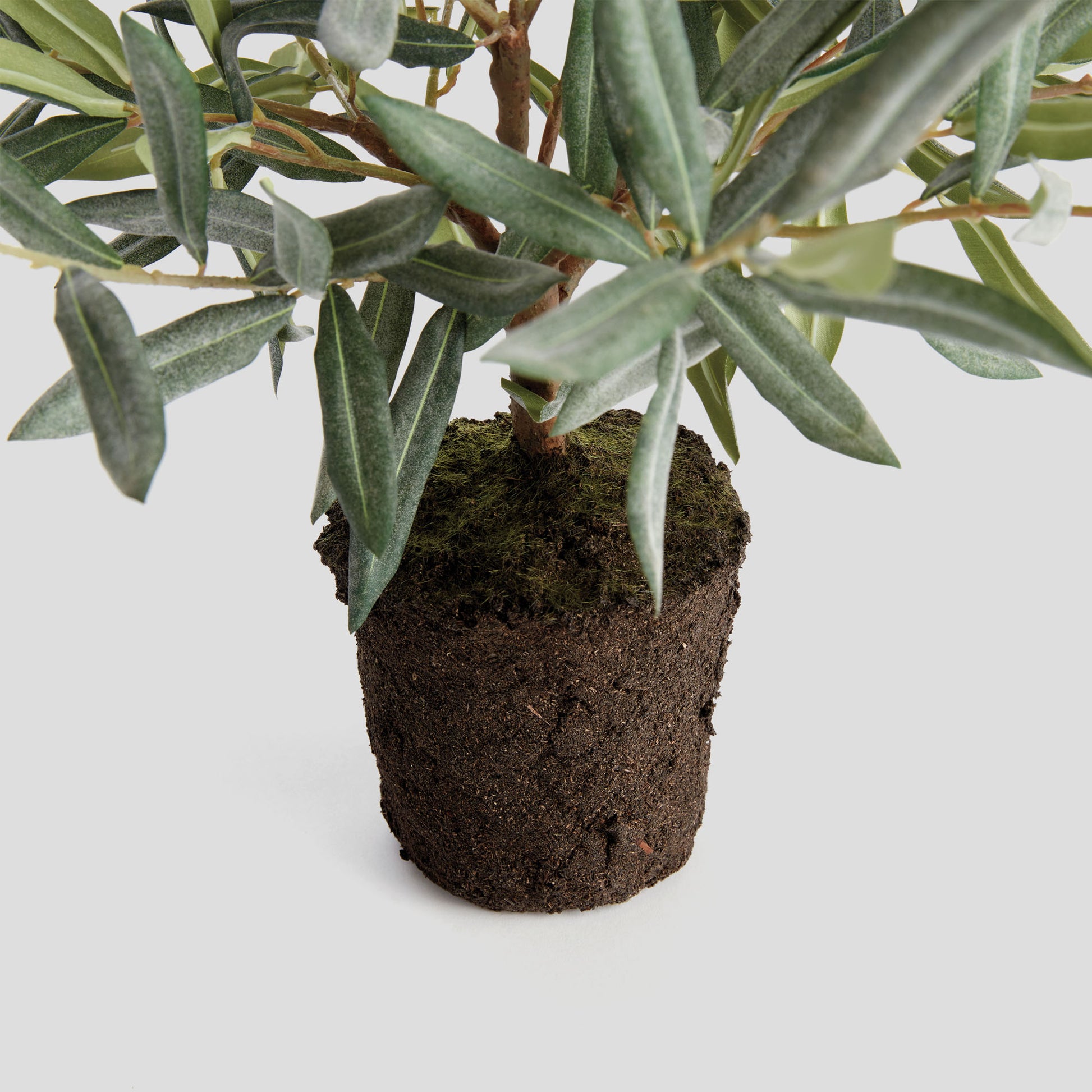 Faux olive tree drop-in - stylish home accent (Image2).