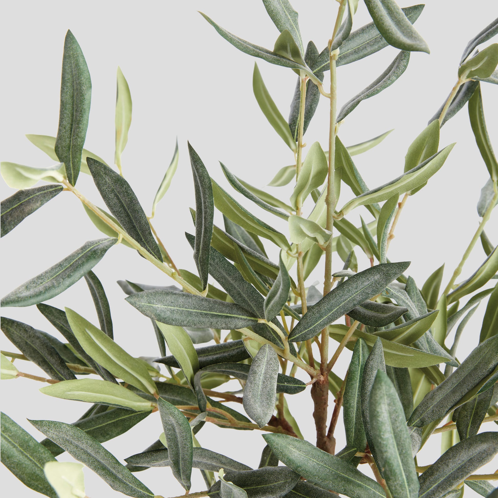 Faux olive tree drop-in - stylish home accent (Image3).