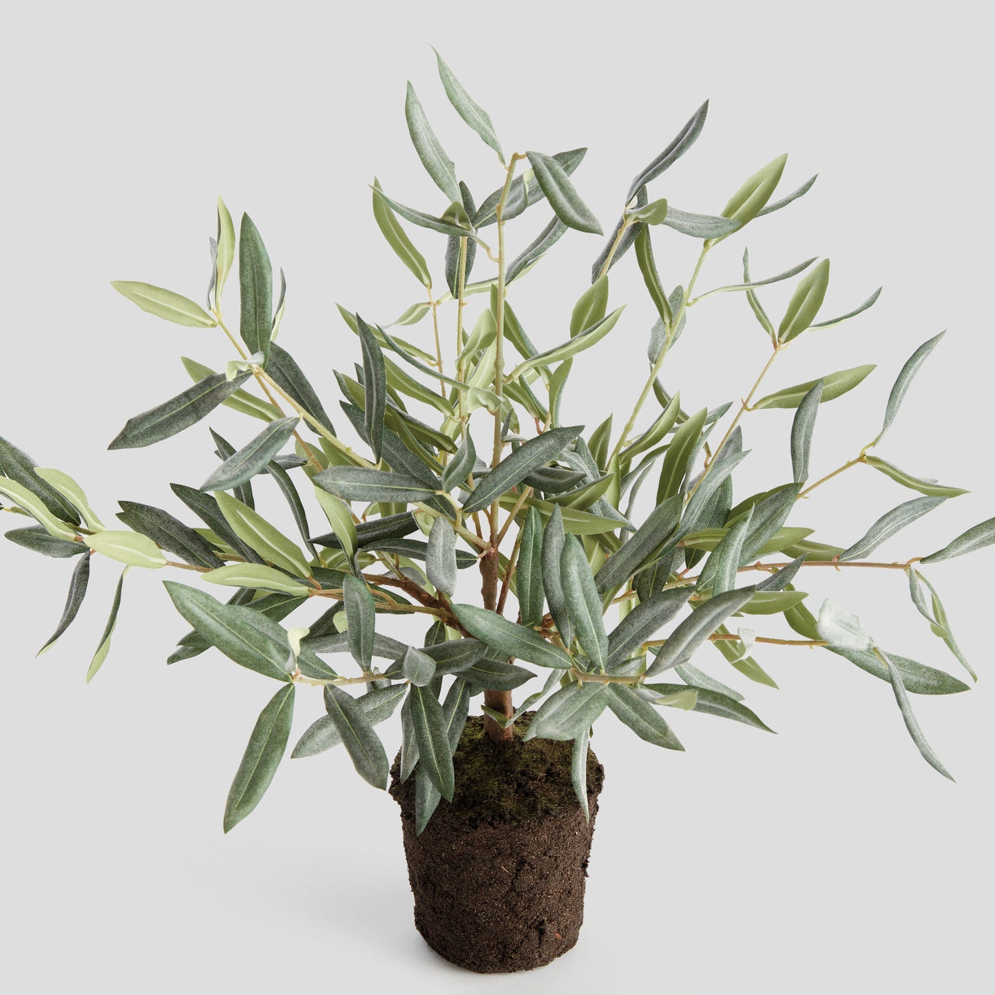 Faux olive tree drop-in - stylish home accent (Image4).