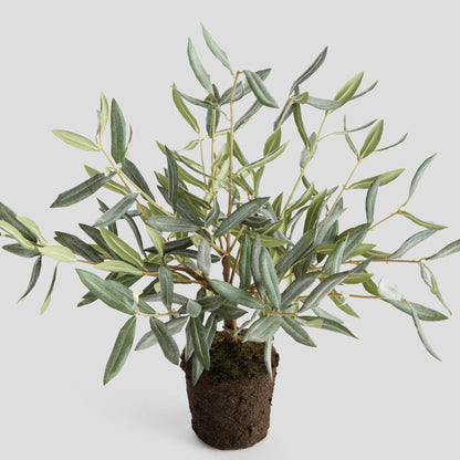 Faux olive tree drop-in - stylish home accent (Image4).