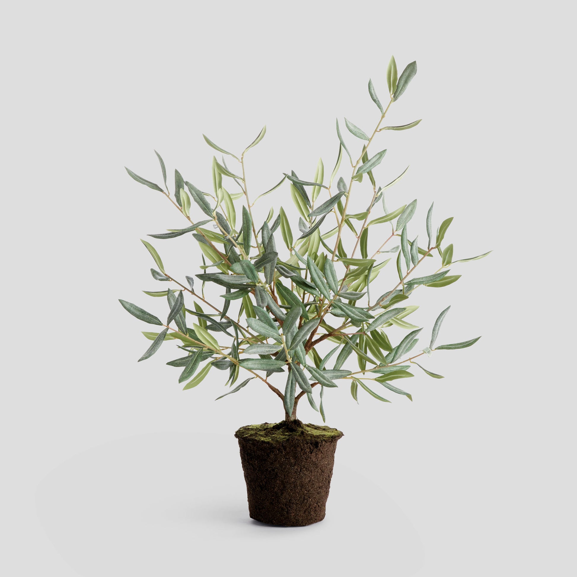 Faux olive tree drop-in - stylish home accent (Image1).