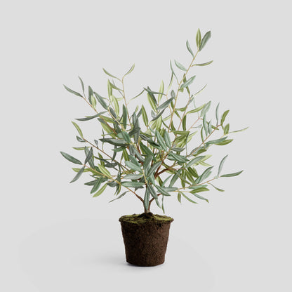 Faux olive tree drop-in - stylish home accent (Image1).