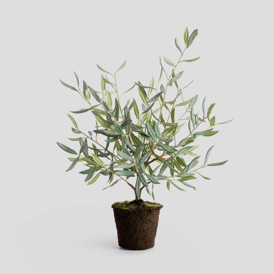 Faux olive tree drop-in - stylish home accent (Image1).