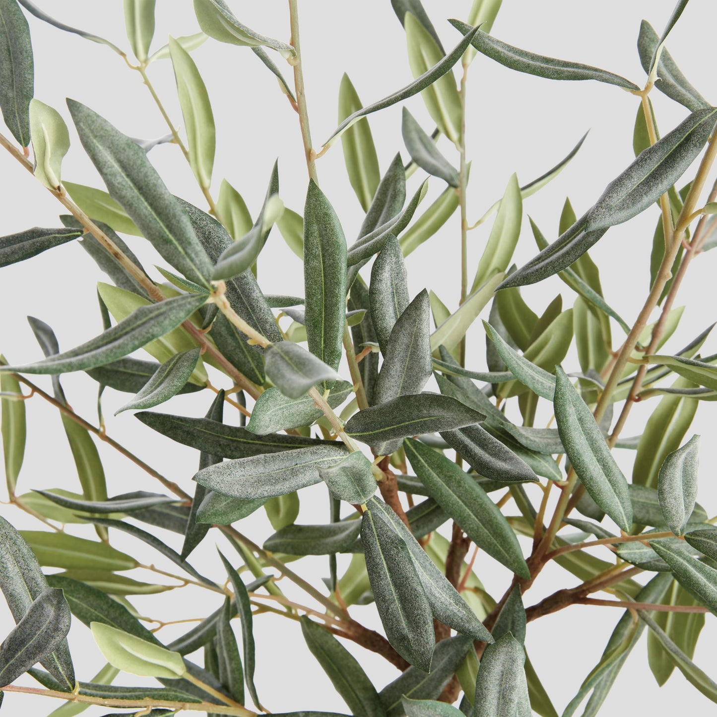Faux olive tree drop-in - stylish home accent (Image3).