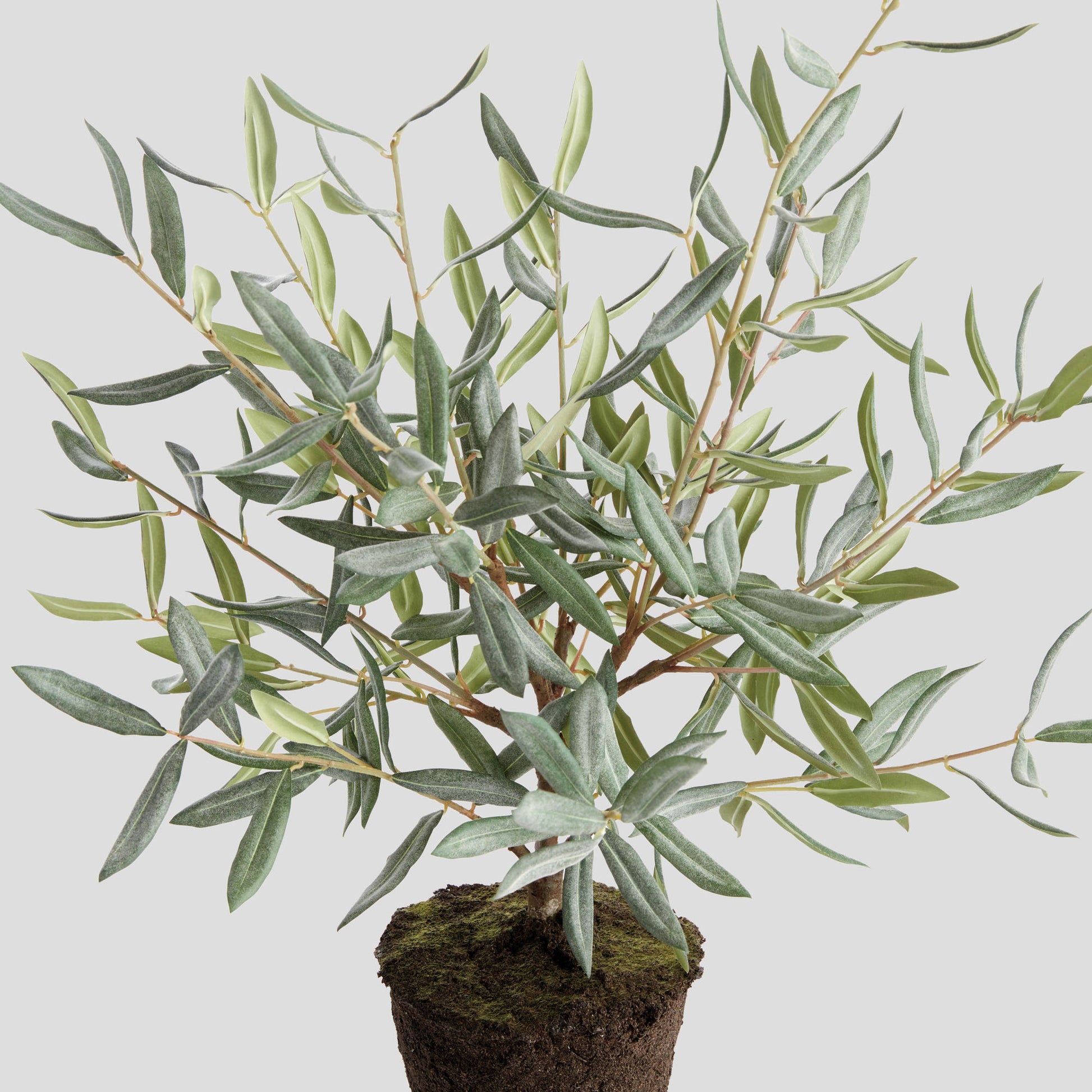 Faux olive tree drop-in - stylish home accent (Image4).