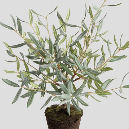 Faux olive tree drop-in - stylish home accent (Image4).