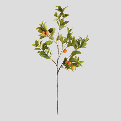 Faux orange branches (set of 2) - stylish home accent (Image1).