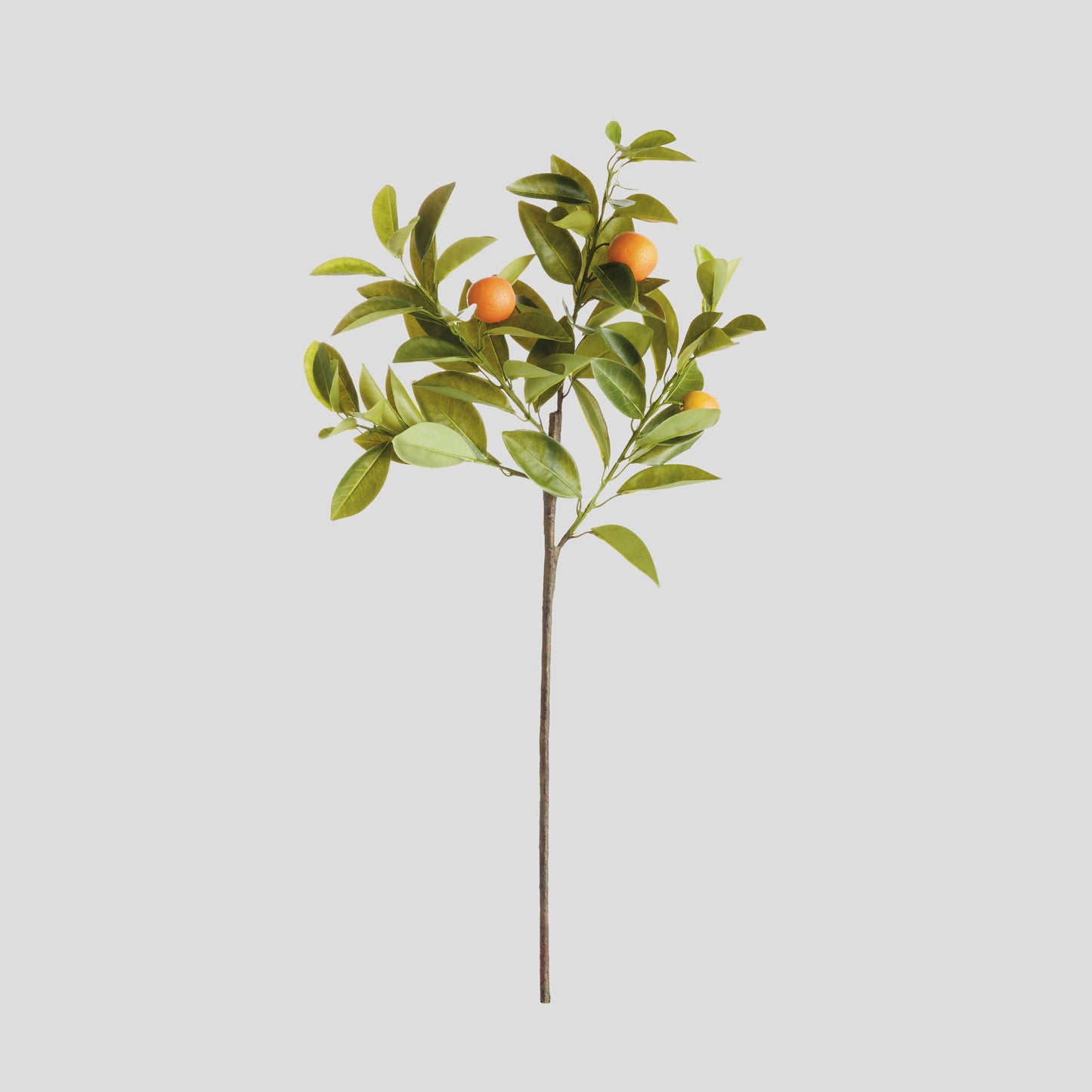 Faux orange stems (set of 4) - stylish home accent (Image1).