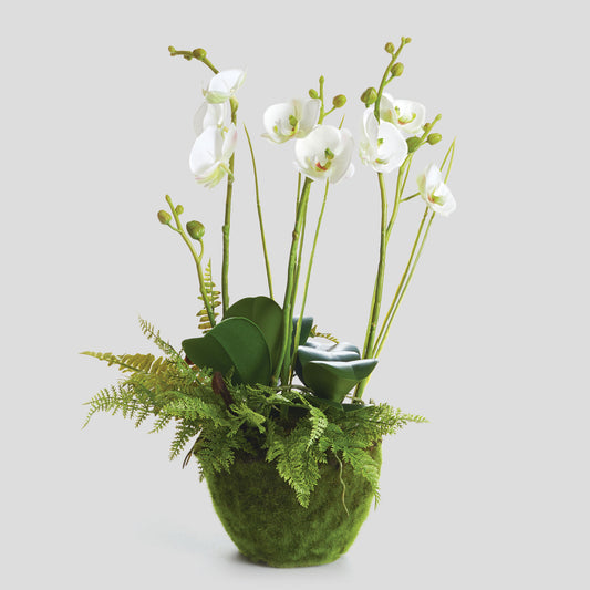 Faux phalaenopsis and fern drop-in 18 inch - stylish home accent (Image1).