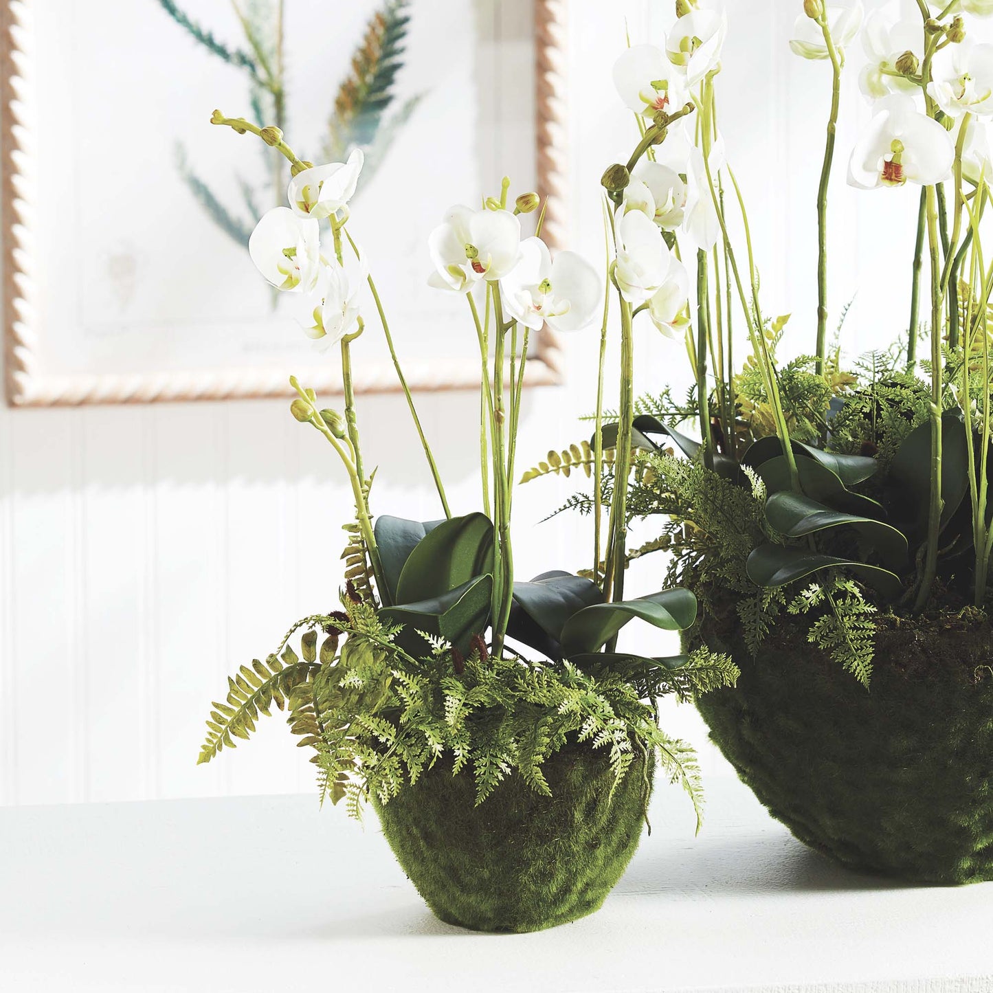 Faux phalaenopsis and fern drop-in 18 inch - stylish home accent (Image2).