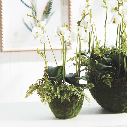 Faux phalaenopsis and fern drop-in 18 inch - stylish home accent (Image2).