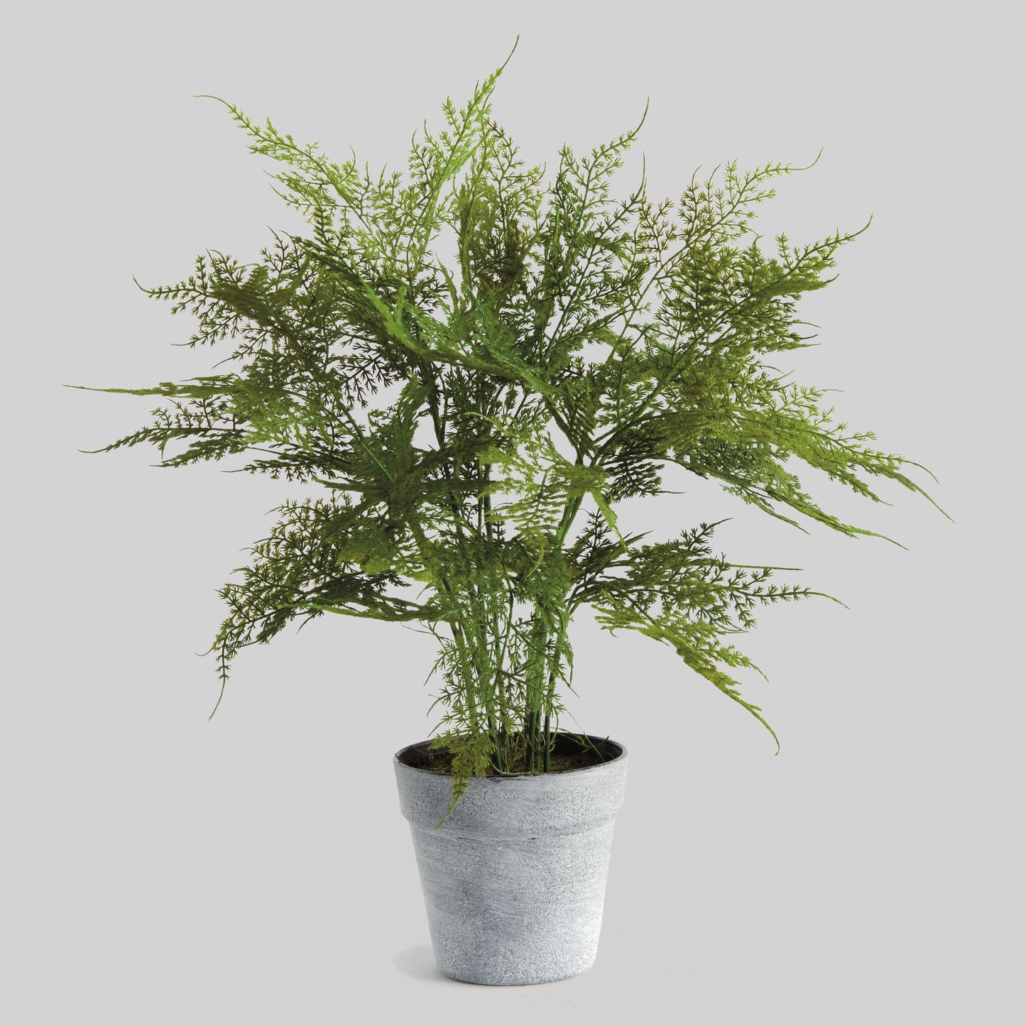 Faux plumosa fern 21 inch - stylish home accent (Image1).