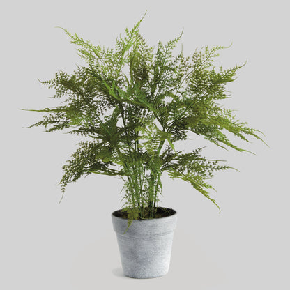 Faux plumosa fern 21 inch - stylish home accent (Image1).
