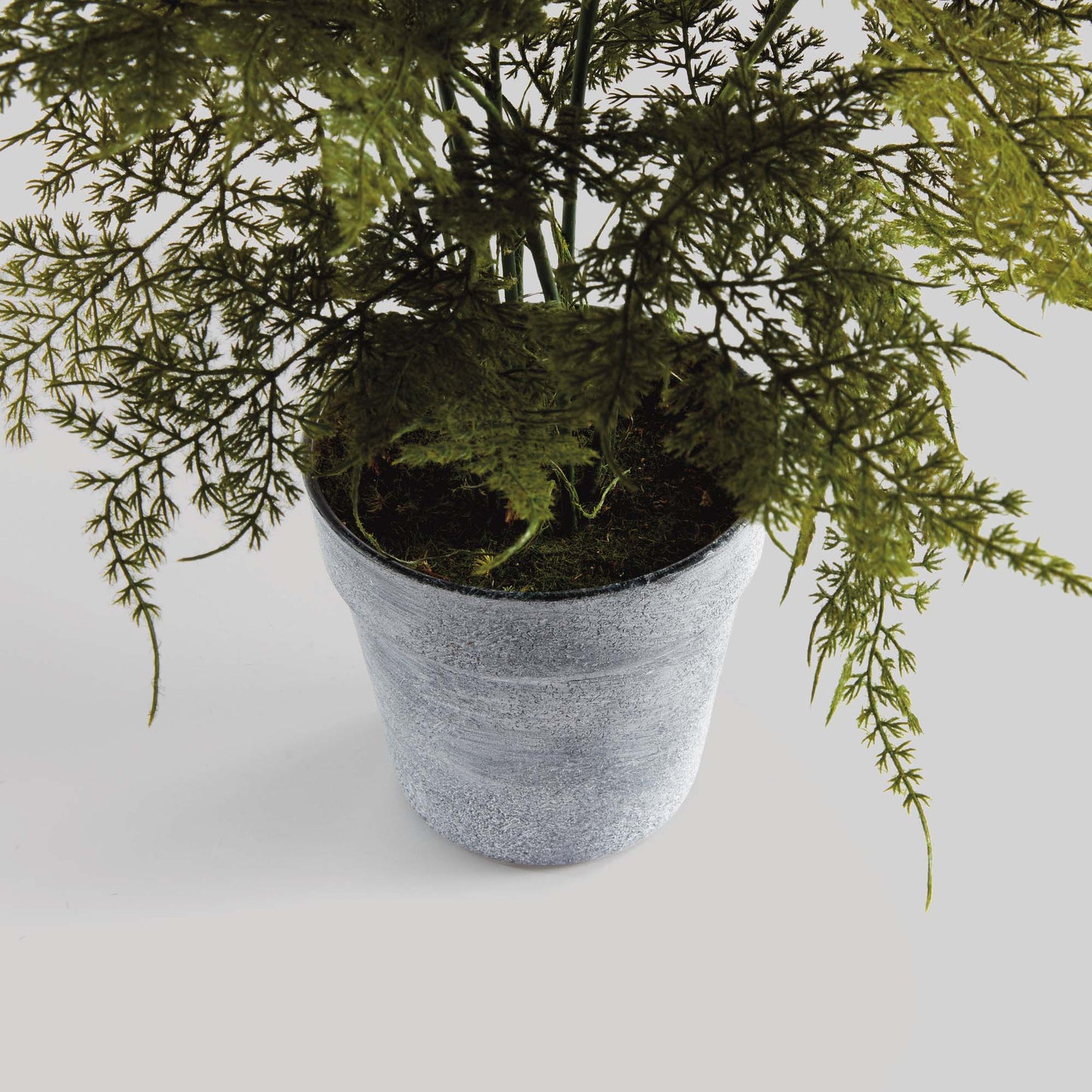 Faux plumosa fern 21 inch - stylish home accent (Image2).