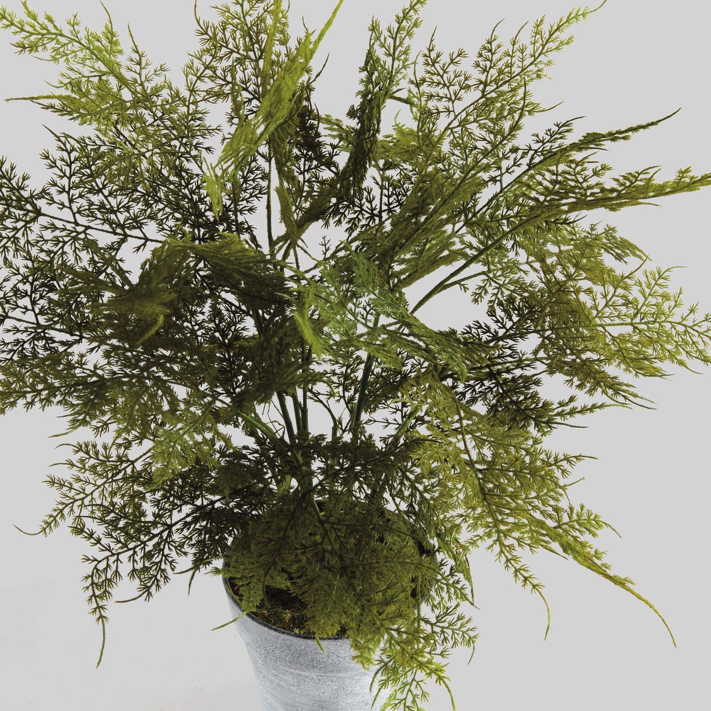 Faux plumosa fern 21 inch - stylish home accent (Image3).