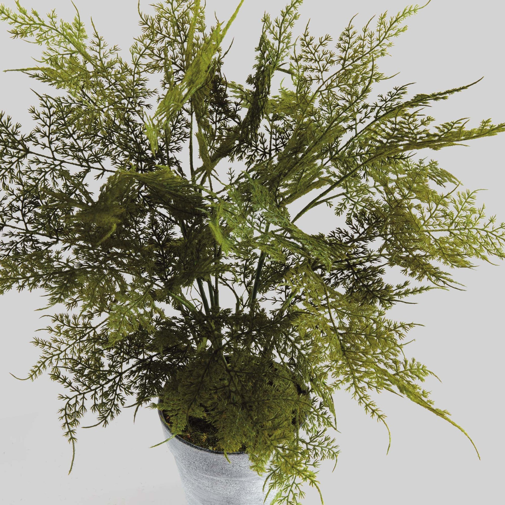 Faux plumosa fern 21 inch - stylish home accent (Image3).