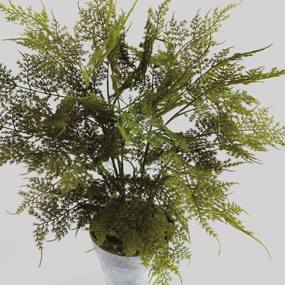 Faux plumosa fern 21 inch - stylish home accent (Image3).