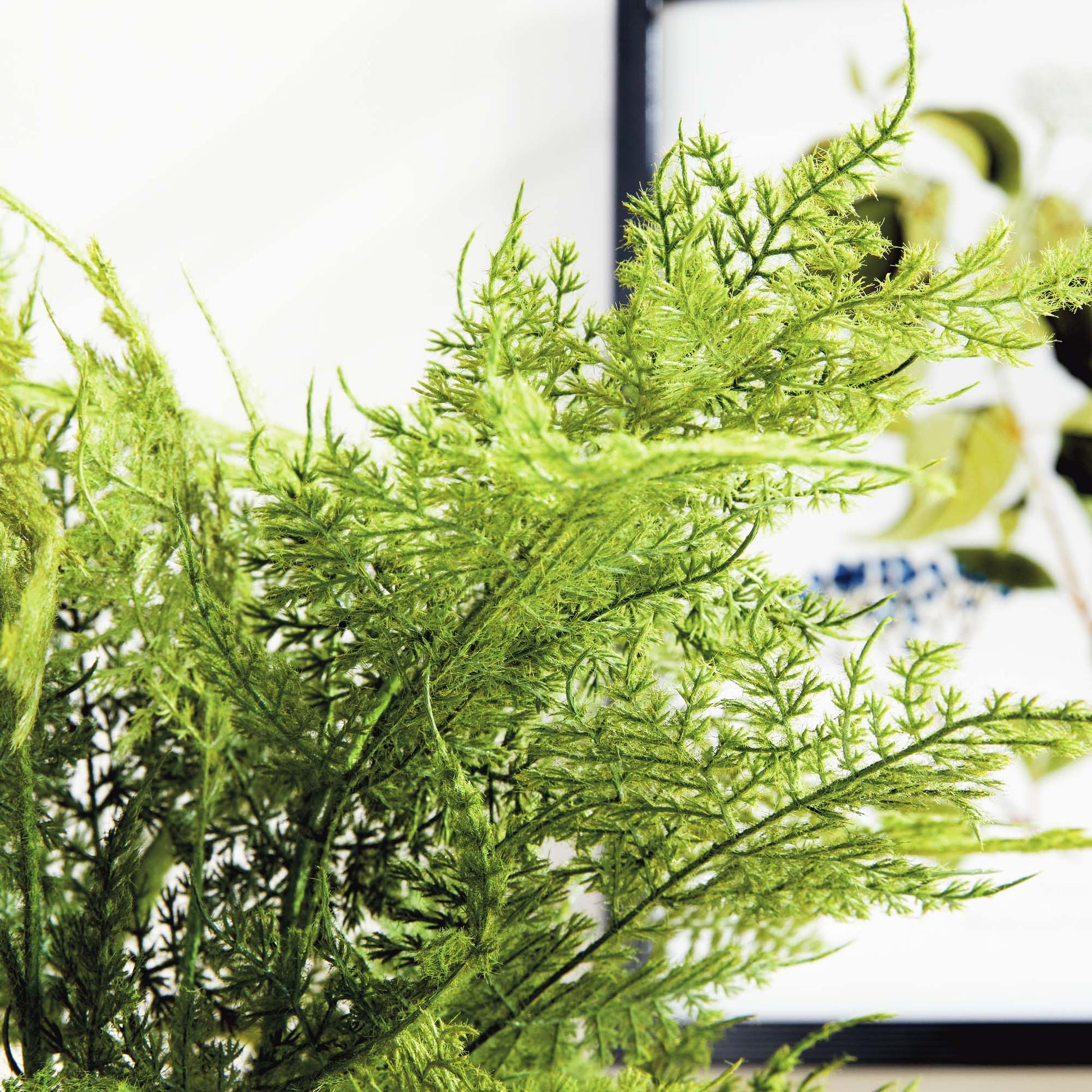 Faux plumosa fern 21 inch - stylish home accent (Image4).