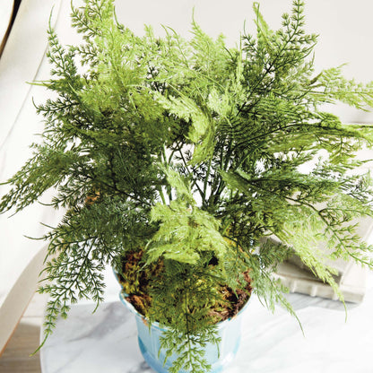 Faux plumosa fern 21 inch - stylish home accent (Image6).