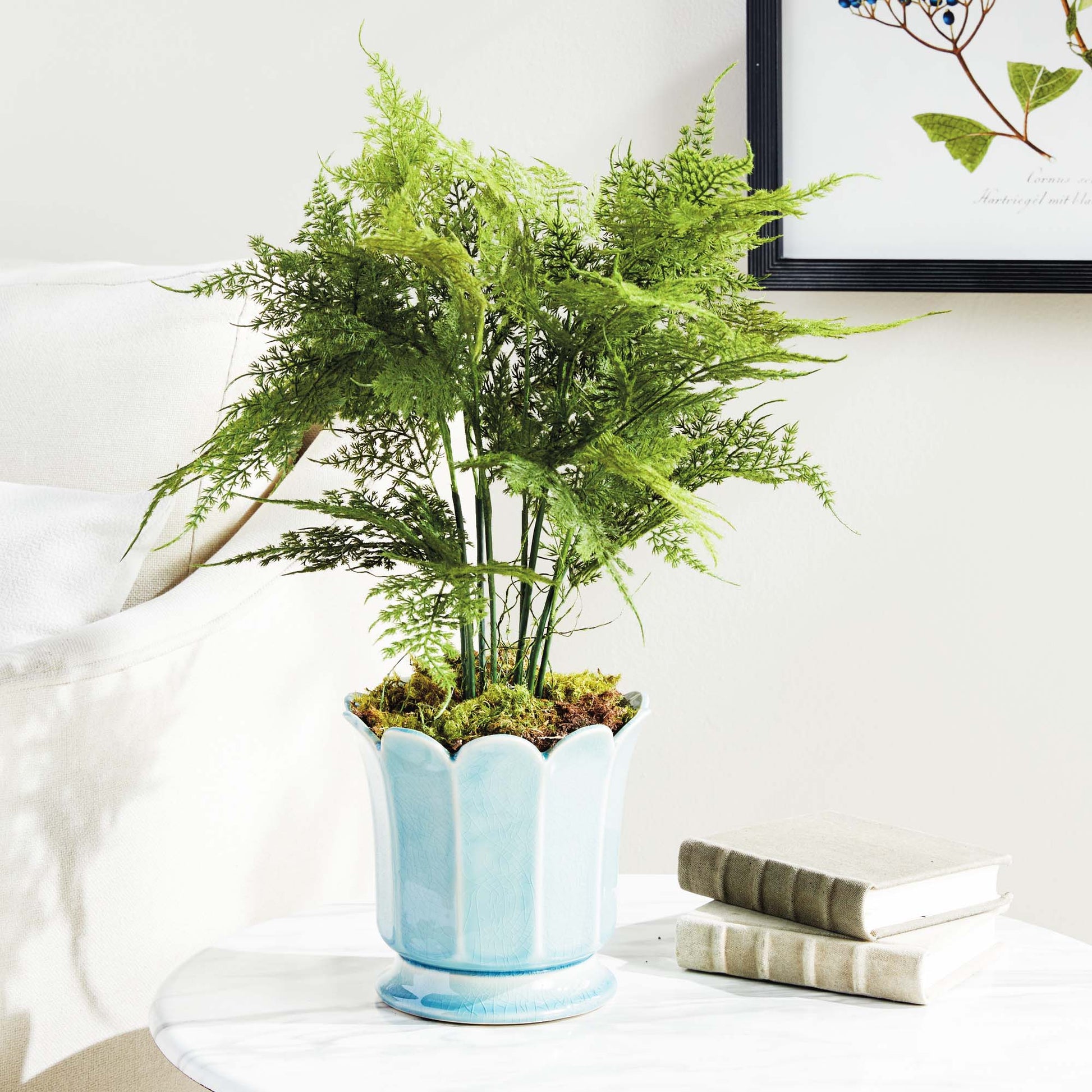 Faux plumosa fern 21 inch - stylish home accent (Image7).