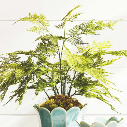 Faux plumosa fern 21 inch - stylish home accent (Image8).