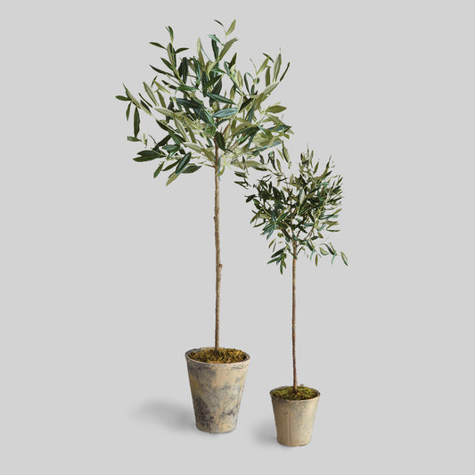 Faux potted olive trees, 30" and 46", with gray background.