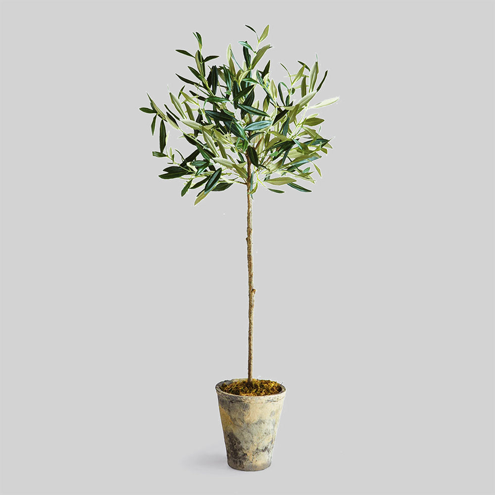 Faux potted olive tree, 30", with gray background.