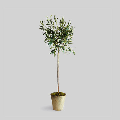 Faux potted olive tree, 46", with gray background.