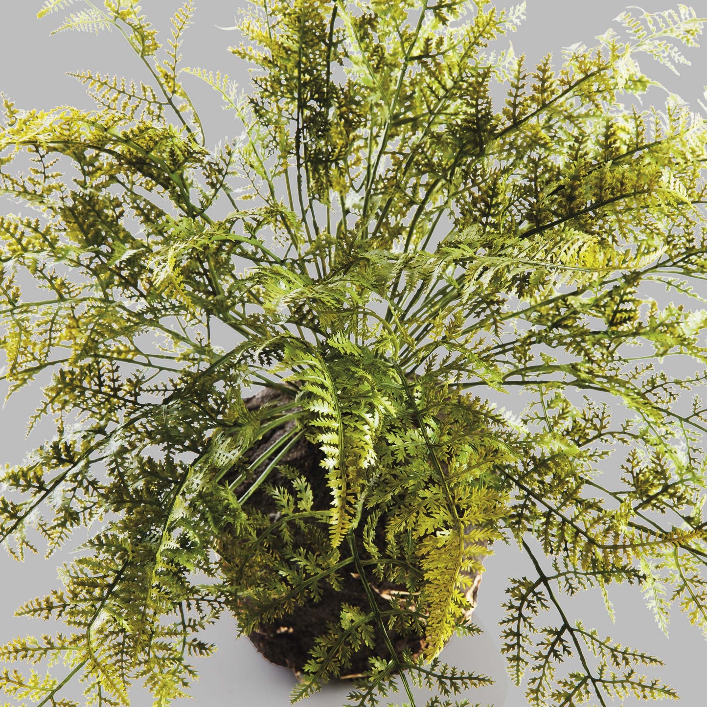 Faux soft fern drop-in 18.5 inch - stylish home accent (Image2).