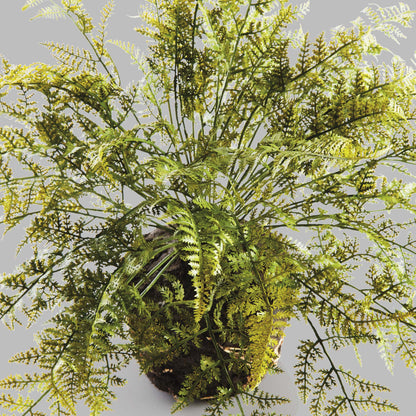 Faux soft fern drop-in 18.5 inch - stylish home accent (Image2).