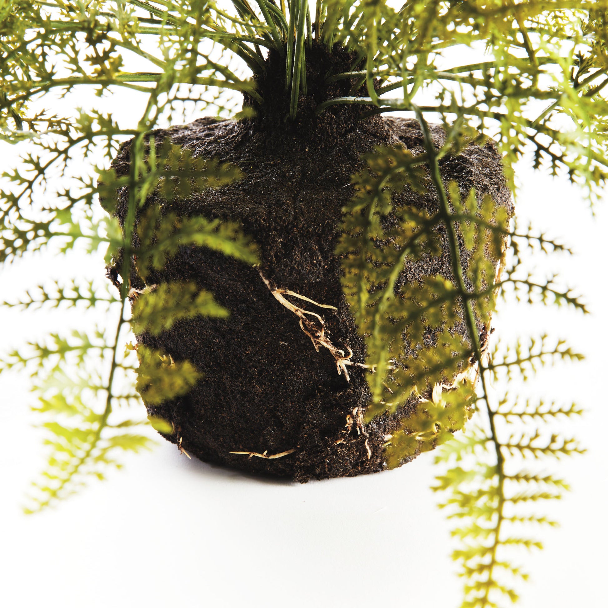 Faux soft fern drop-in 18.5 inch - stylish home accent (Image3).
