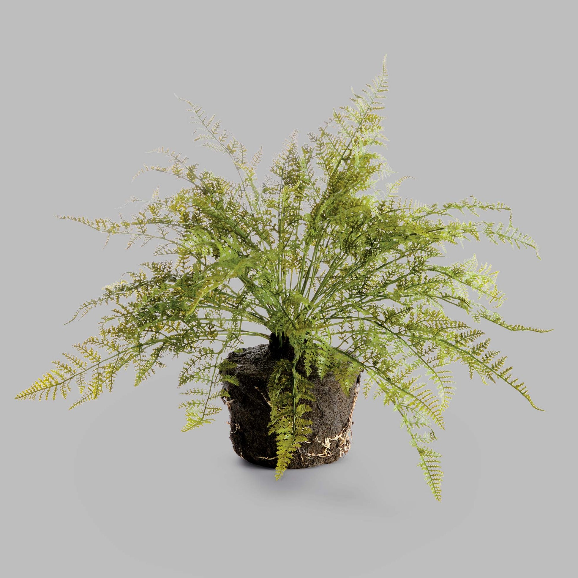 Faux soft fern drop-in 18.5 inch - stylish home accent (Image4).